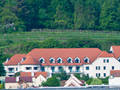 The Steigenberger Hotel on the outskirts of Krems among the wine terraces.